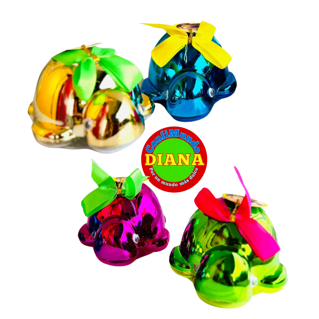 Estuche tortuga regalo