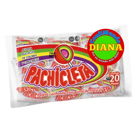 Pachicleta bolsa