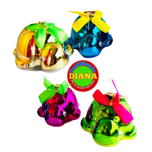 Estuche tortuga regalo